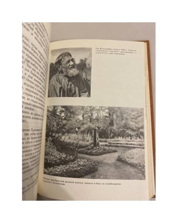 Дополнительное изображение книги «На темной ели звонкая свирель»