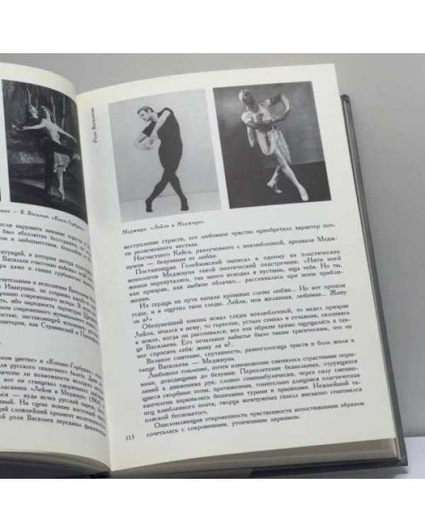 Дополнительное изображение книги «Владимир Васильев»