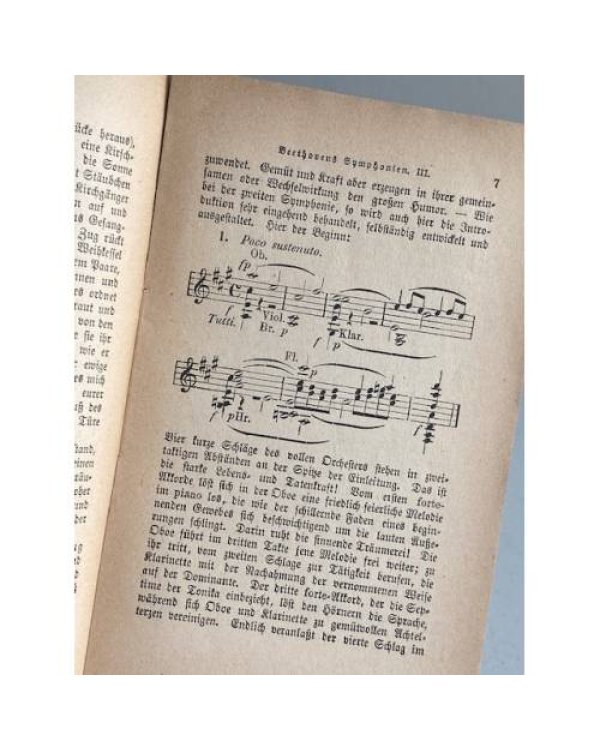 Ludwig van Beethovens Symphonien Nr. 7–9 (op. 92, 93 & 125)