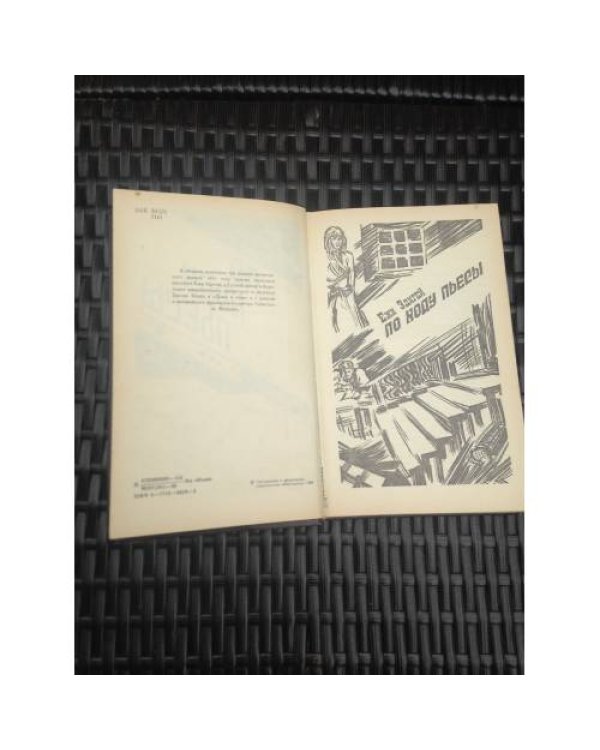 Дополнительное изображение книги «По ходу пьессы»