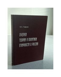 Очерки теории и политики этничности в России
