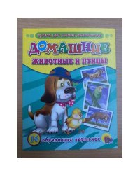 16 обучающих карточек. Домашние животные и птицы