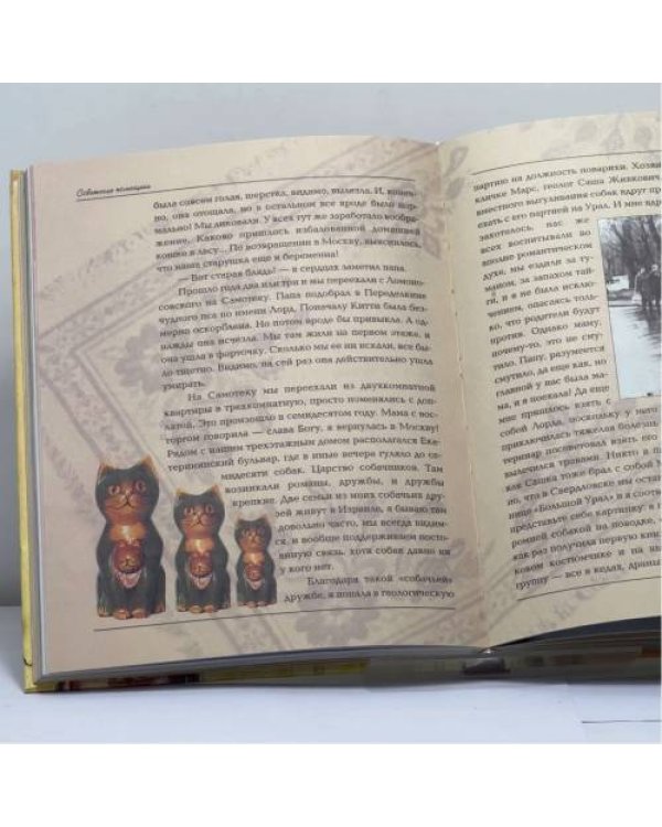Дополнительное изображение книги «Дети галактики или Чепуха на постном масле. Взгляд и нечто с гастрономическим уклоном»