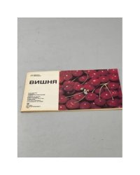 Вишня