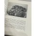 Дополнительное изображение книги «Портрет в русском искусстве XVII века. Материалы и исследования»