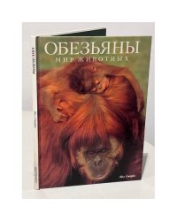 Обезьяны. Мир животных