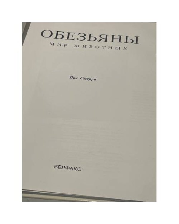 Обезьяны. Мир животных