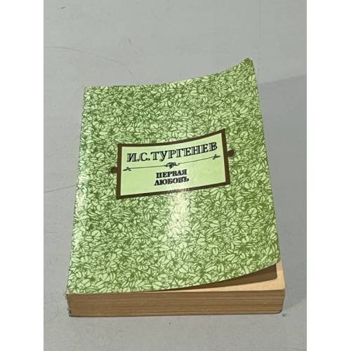 Первая любовь