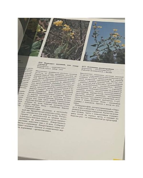 Дополнительное изображение книги «Цветовой атлас растений »