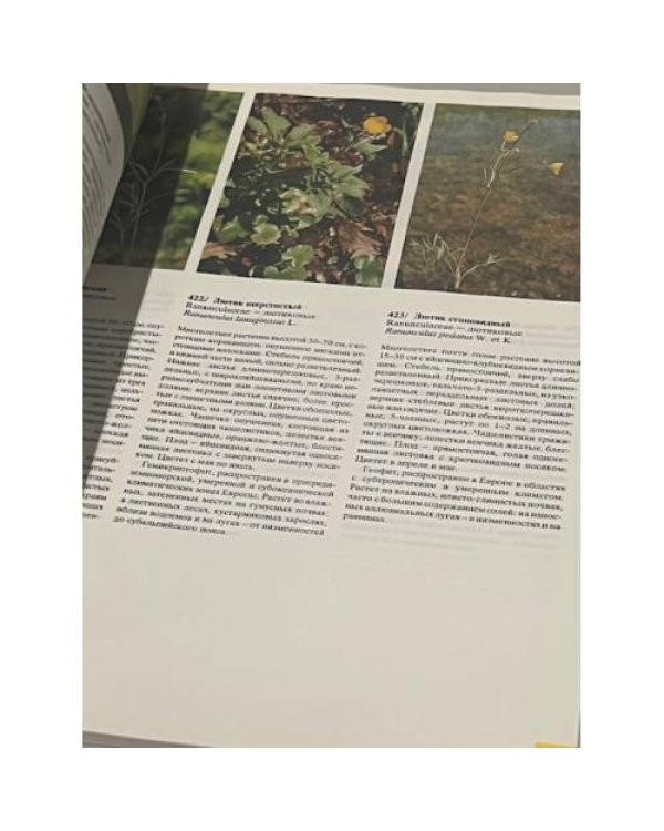 Дополнительное изображение книги «Цветовой атлас растений »