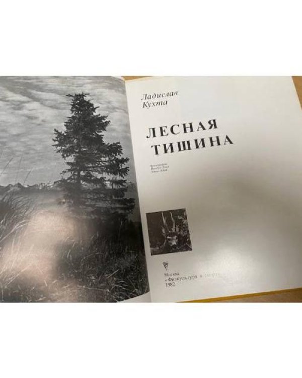 Лесная тишина