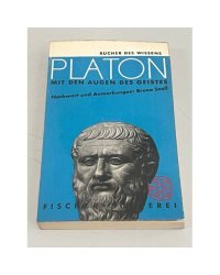   Platon: Mit den Augen des Geistes