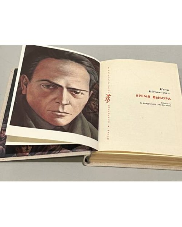 Дополнительное изображение книги «Бремя выбора»