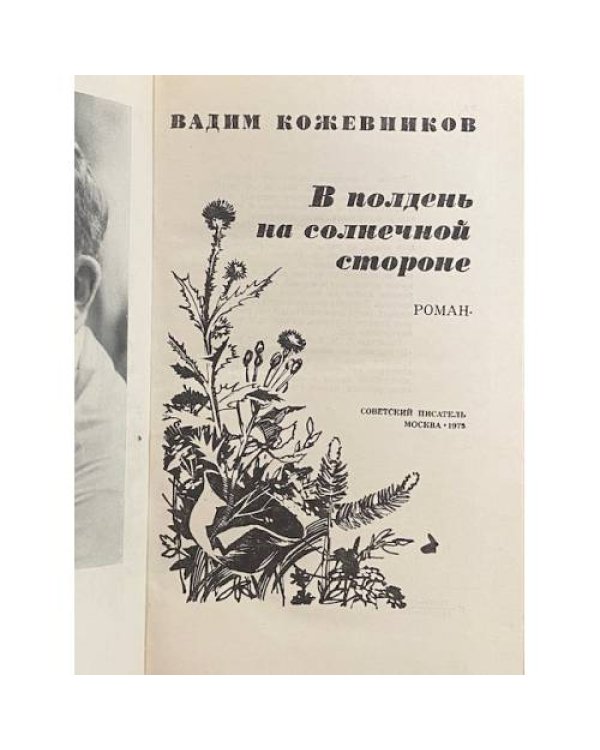 В полдень на солнечной стороне