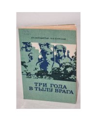 Три года в тылу врага