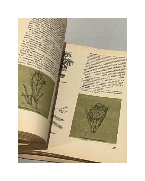Дополнительное изображение книги «Справочник цветовода »