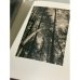 Alexander Rodchenko. Revolution in Photography. Catalogue.