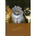 Обложка книги «Скетчбук Уэйн. Пять кошек. Рыжий во главе» — None, ISBN 4810764005076
