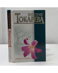 Первая попытка