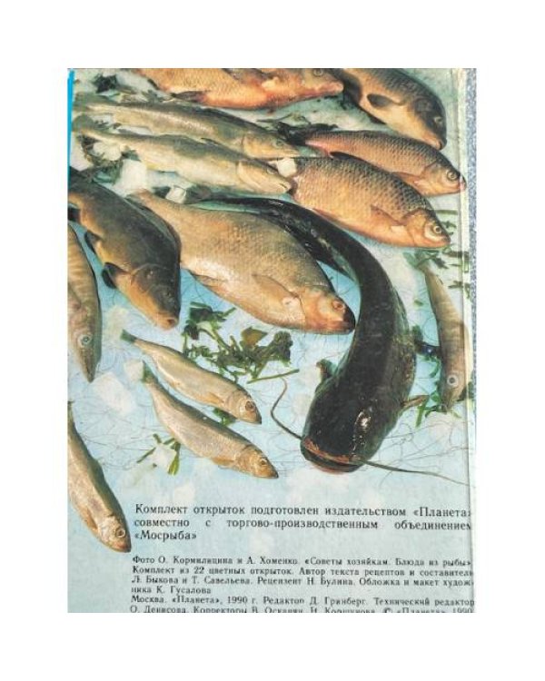 Дополнительное изображение книги «Блюда из рыбы. Советы хозяйкам»