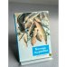 Обложка книги «Блюда из рыбы. Советы хозяйкам» — Не указан