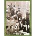 Необычные судьбы обычных людей: Советская повседневность в 1920-1930-е гг.