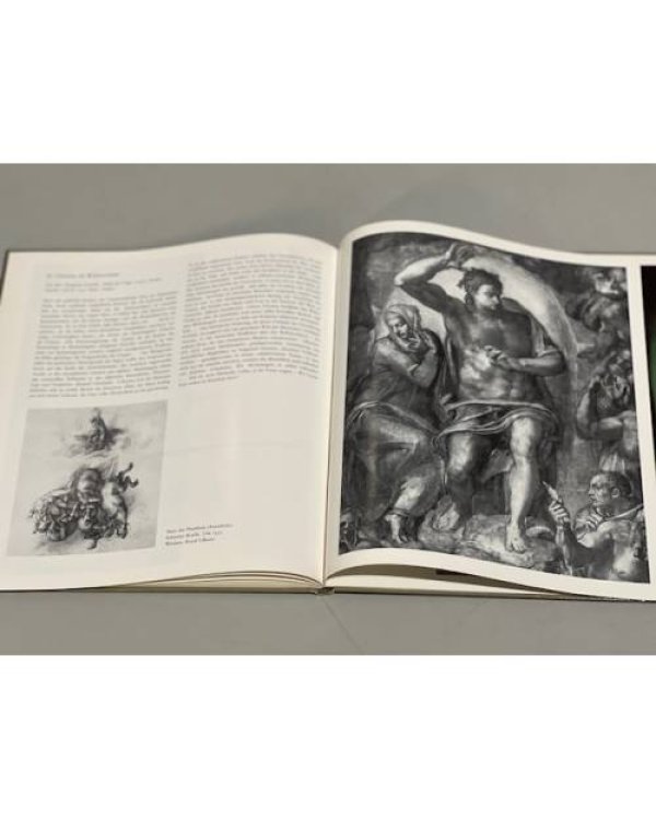 Michelangelo