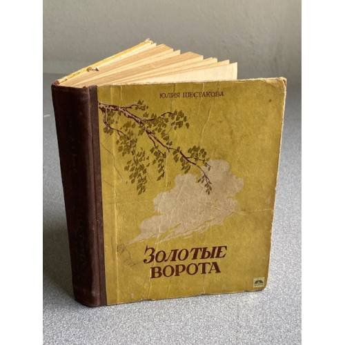 Обложка книги «Золотые ворота.» — Юлия Шестакова.