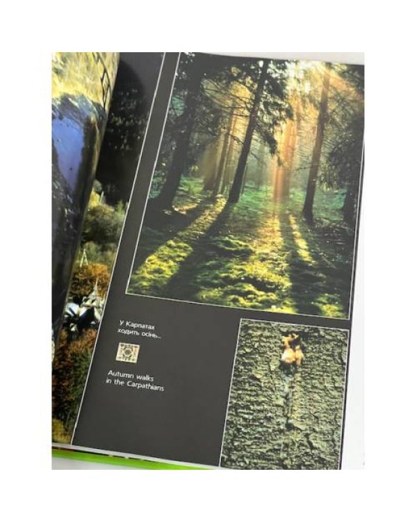 Дополнительное изображение книги «Де шум потоків і смерек...»