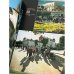 Дополнительное изображение книги «Де шум потоків і смерек...»