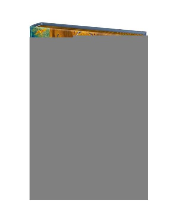 Дополнительное изображение книги «Дитя титанов роман»