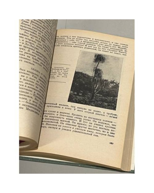 Дополнительное изображение книги «Причудливые деревья»