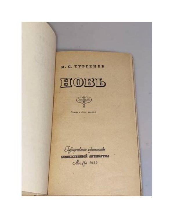 Дополнительное изображение книги «Новь»