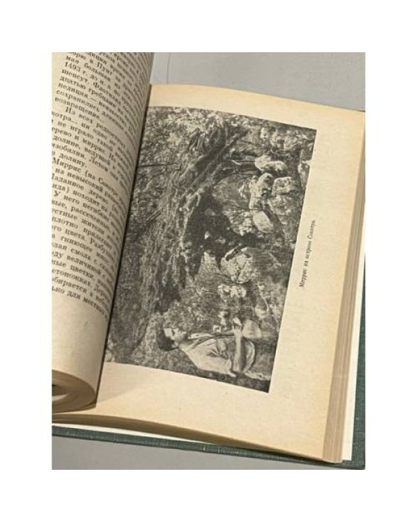 Дополнительное изображение книги «Причудливые деревья»