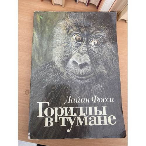 Гориллы в тумане