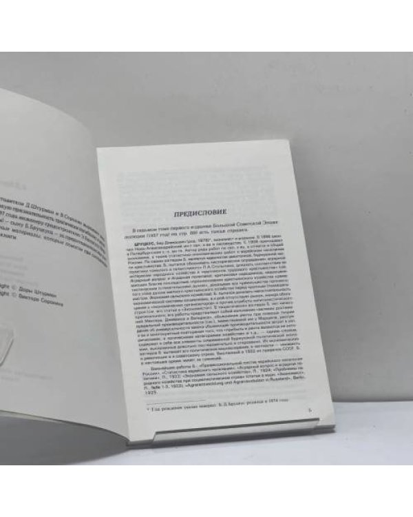 Дополнительное изображение книги «Социалистическое хозяйство. Теоретические мысли по поводу русского опыта»