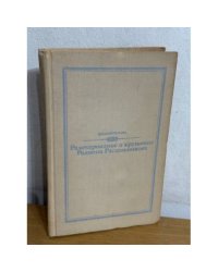 Разочарование и крушение Родиона Раскольникова