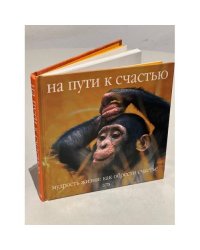 На пути к счастью. Мудрость жизни: как обрести счастье