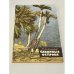 Обложка книги «Сахарные острова» — Макаров Николай Михайлович
