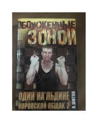 Один на льдине. Воровской общак - 2`