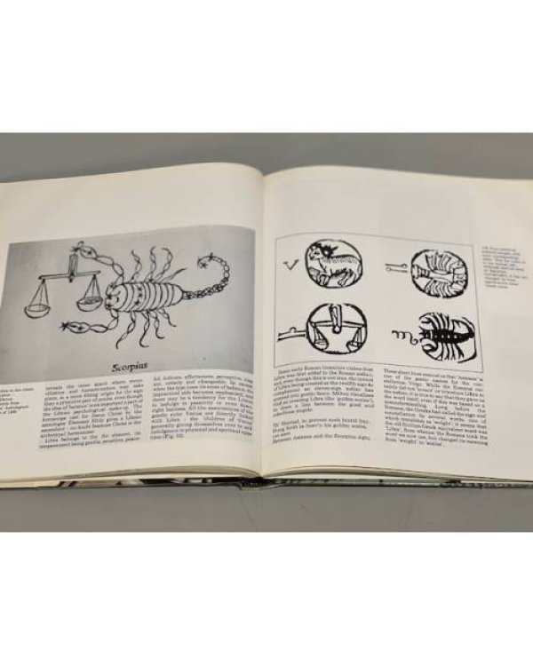 Zodiac Signs