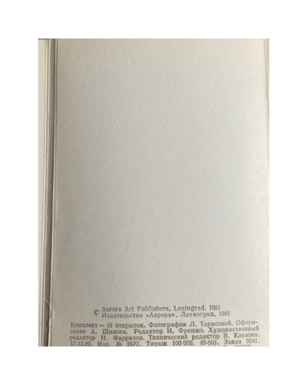 Дополнительное изображение книги «Byzantine Silver in Soviet Museums»