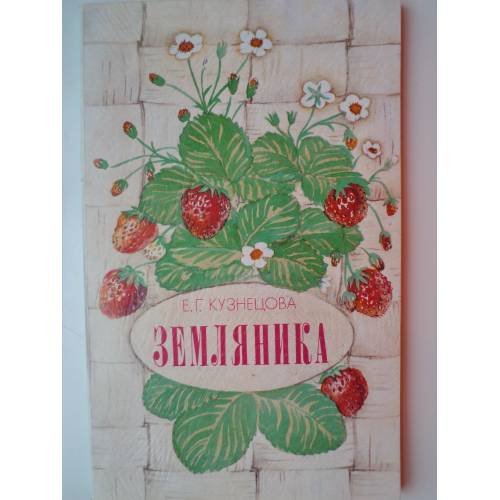 Обложка книги «Земляника» — Кузнецова Екатерина