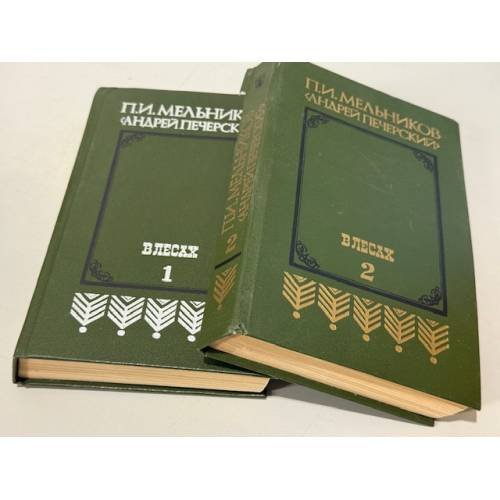 В лесах. В двух книгах