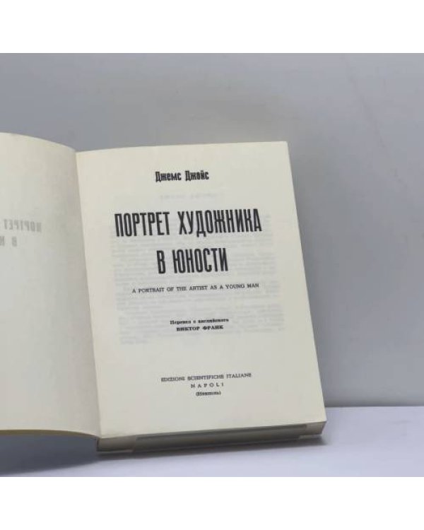 Дополнительное изображение книги «Портрет художника в юности»