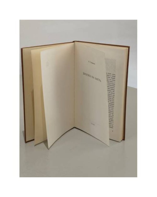 Дополнительное изображение книги «Прогноз на завтра»