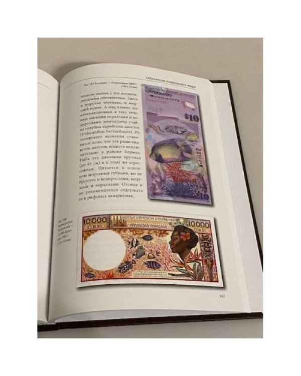 Тайны банкнот. Легенды и факты