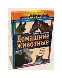 Домашние животные