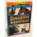 Домашние животные