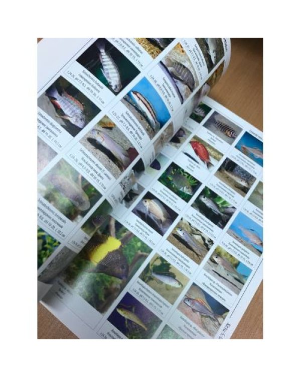 Энциклопедия аквариумных рыб. 5000 пресноводных видов и форм